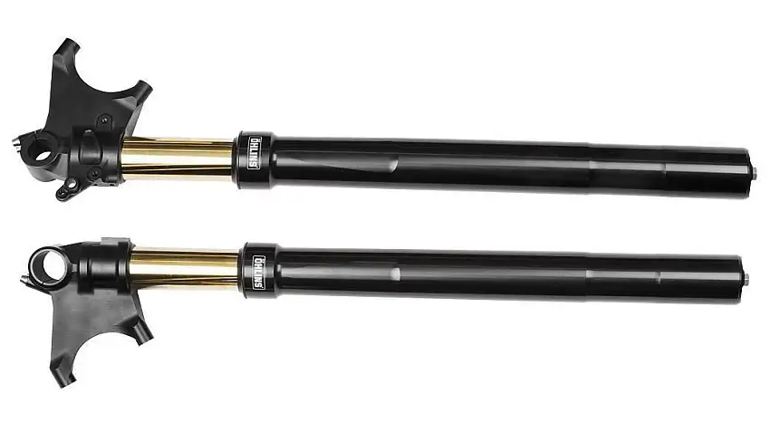 Forcella Ohlins FGRT 200 R&T NIX da 48mm per Ducati Diavel 1200 11-18 (foderi colore NERO)